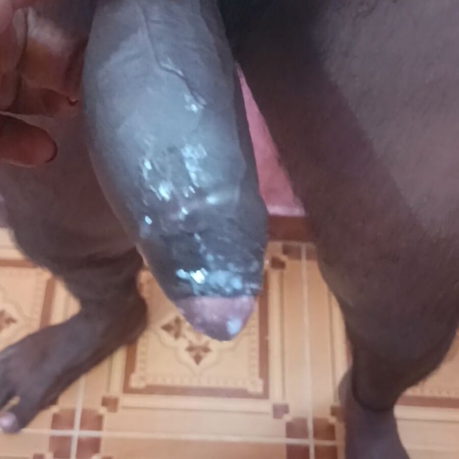 Faphouse