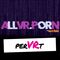 AllVRPorn