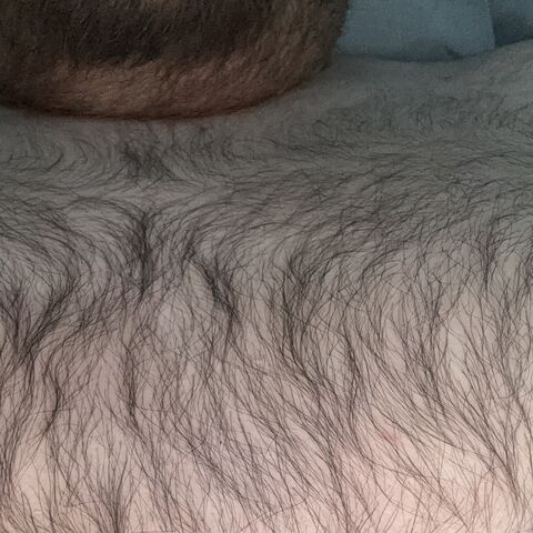 ErnyChubbyBear