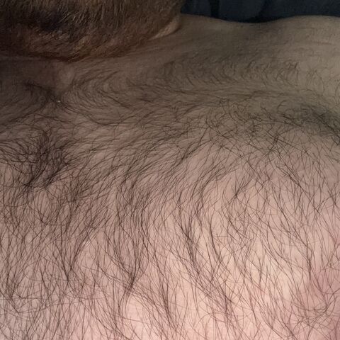 ErnyChubbyBear