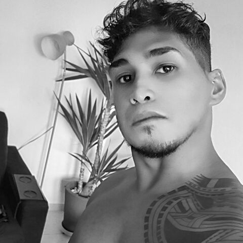 Kalahari oficial