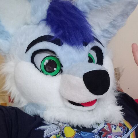BlueHuskyuwu