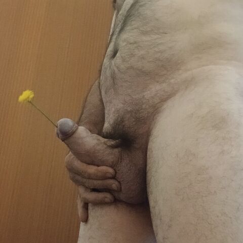 Ardilla