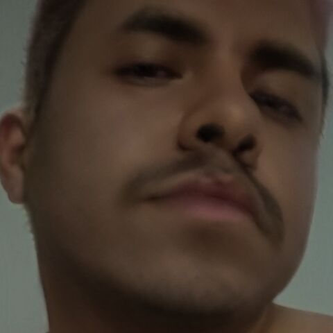 Rui Rome