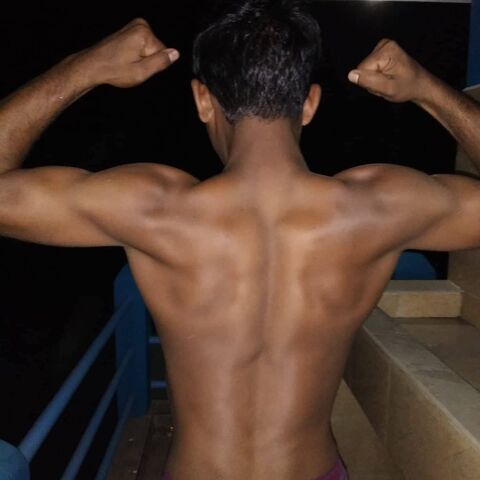 Bengali Bull