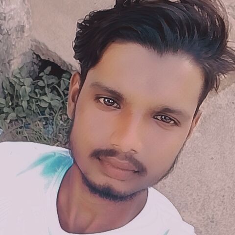 Desi cho