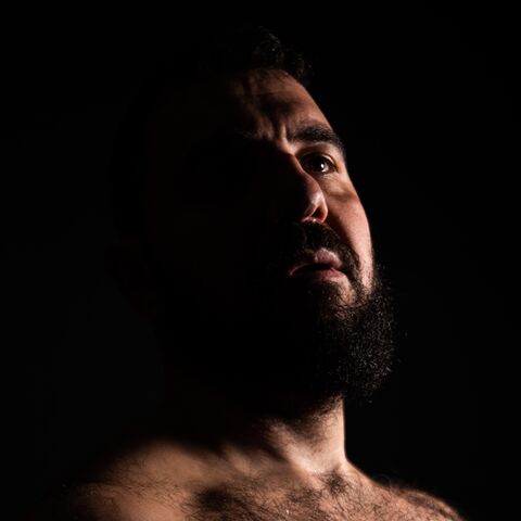 Ulysses the bear