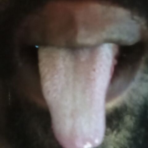 Eat it up