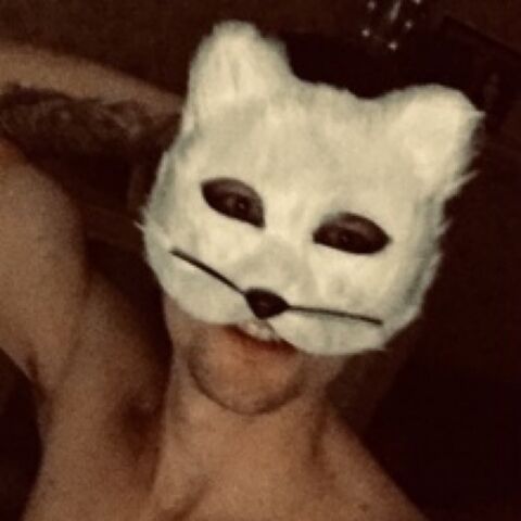 Shuffler Cat