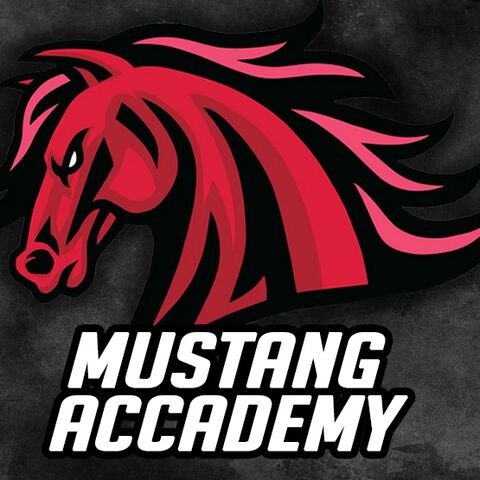 Mustang Accademy