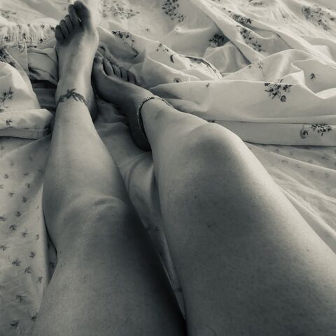 Clandexxx