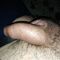 Ronim slzy