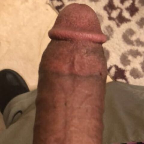 Jolaz