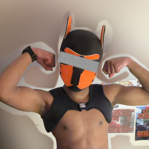 AznChubLuvr