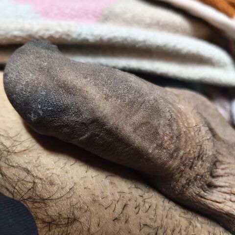 Hornny dick