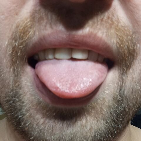 Licking house