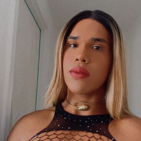 Andreialatina