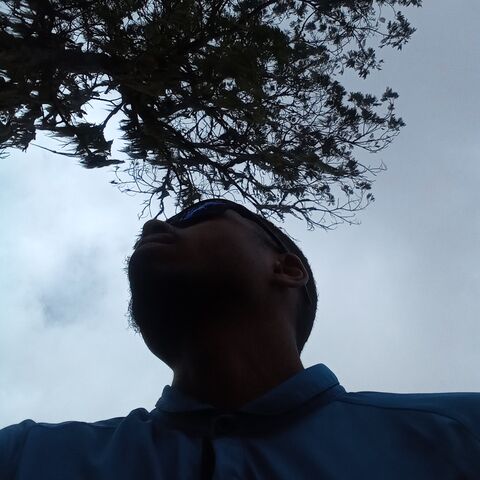 Servergonha