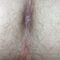 Futa fuckery