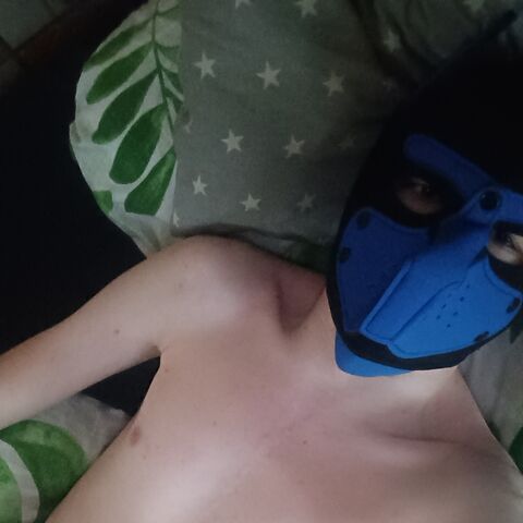 dogpoland22