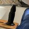 Amateur Insertions