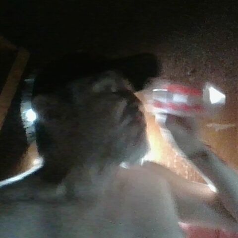 Pericodesnudo1