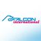 Falcon International