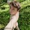Latvian_boy