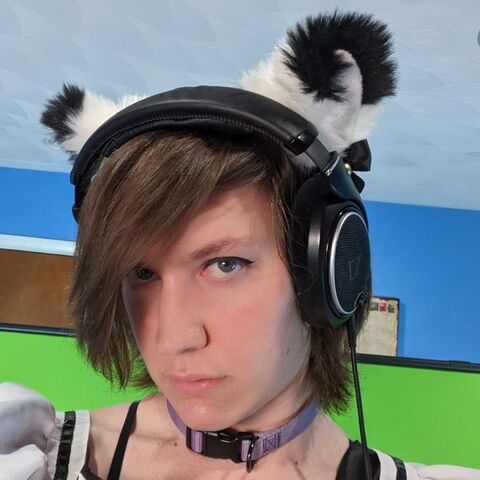 Puppersucc