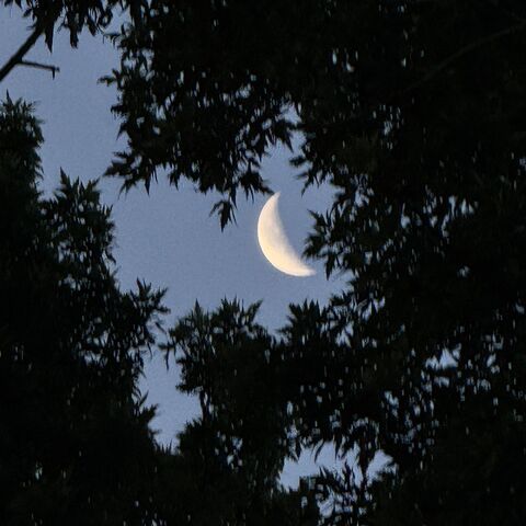 Blue Luna