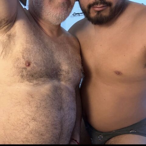 Bear_andchaser