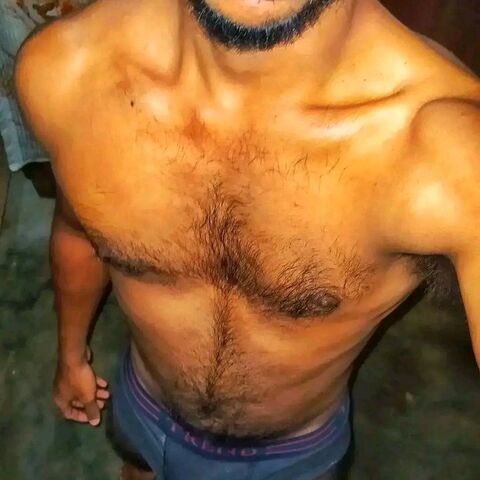 Dany SL