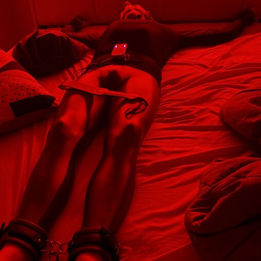 Faphouse