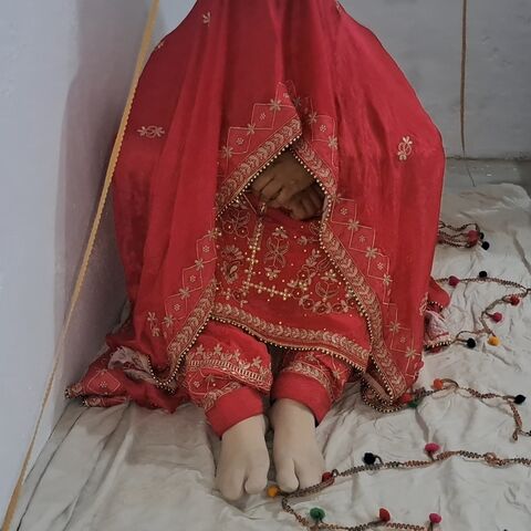 Punjab ipink pussy