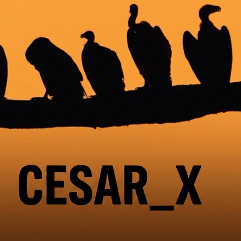 CESAR_X