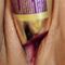 Sugar love lush