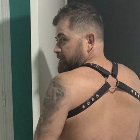 Osito_morbo