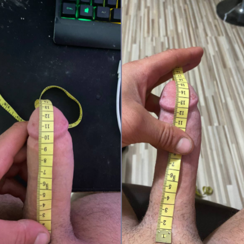 Penis brothers