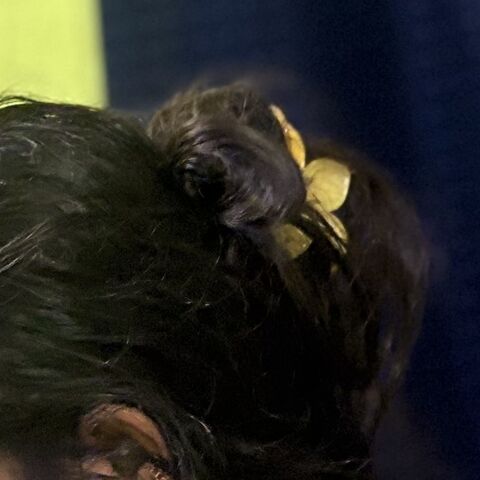 Queen_Sujee
