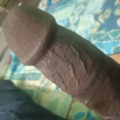 Raniiqbal