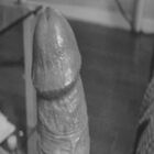 Hornyme