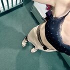 Sissy queen Isabella