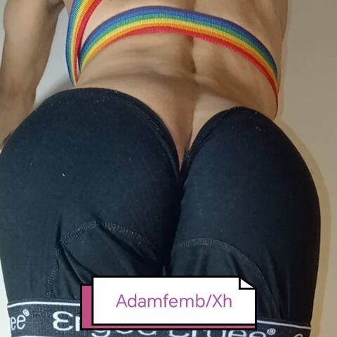 Adamfem
