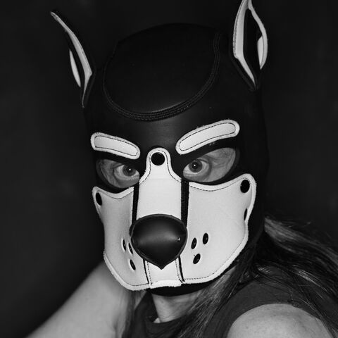GodaPup