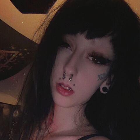 Echo Decay