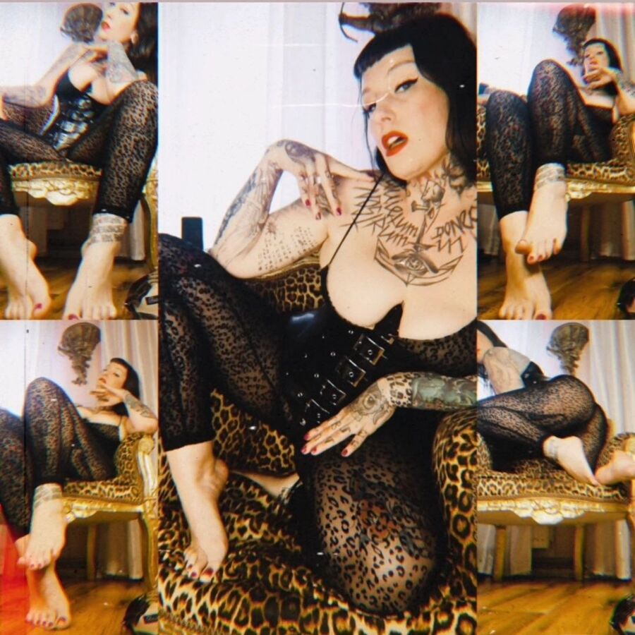 Faphouse