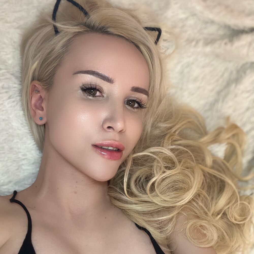 Faphouse